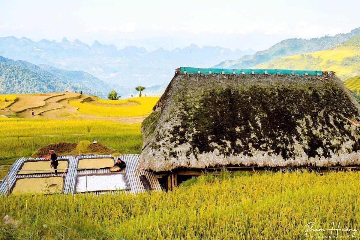 Lễ hội Mùa vàng